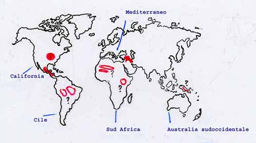 aree a clima mediterraneo